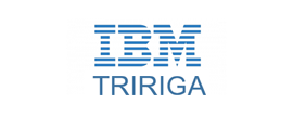 IBM TRIRIGA logo
